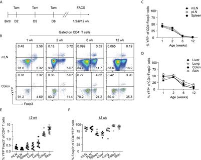 Inflammatory perturbations in early life long-lastingly shape the transcriptome and TCR repertoire of the first wave of regulatory T cells